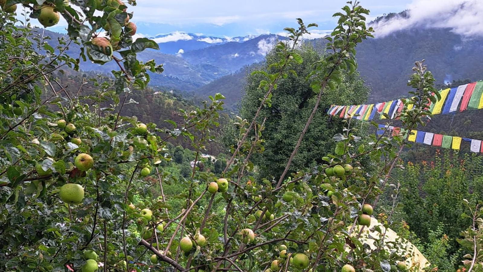 Hotel The Pahadi Nest Mukteshwar Extérieur photo